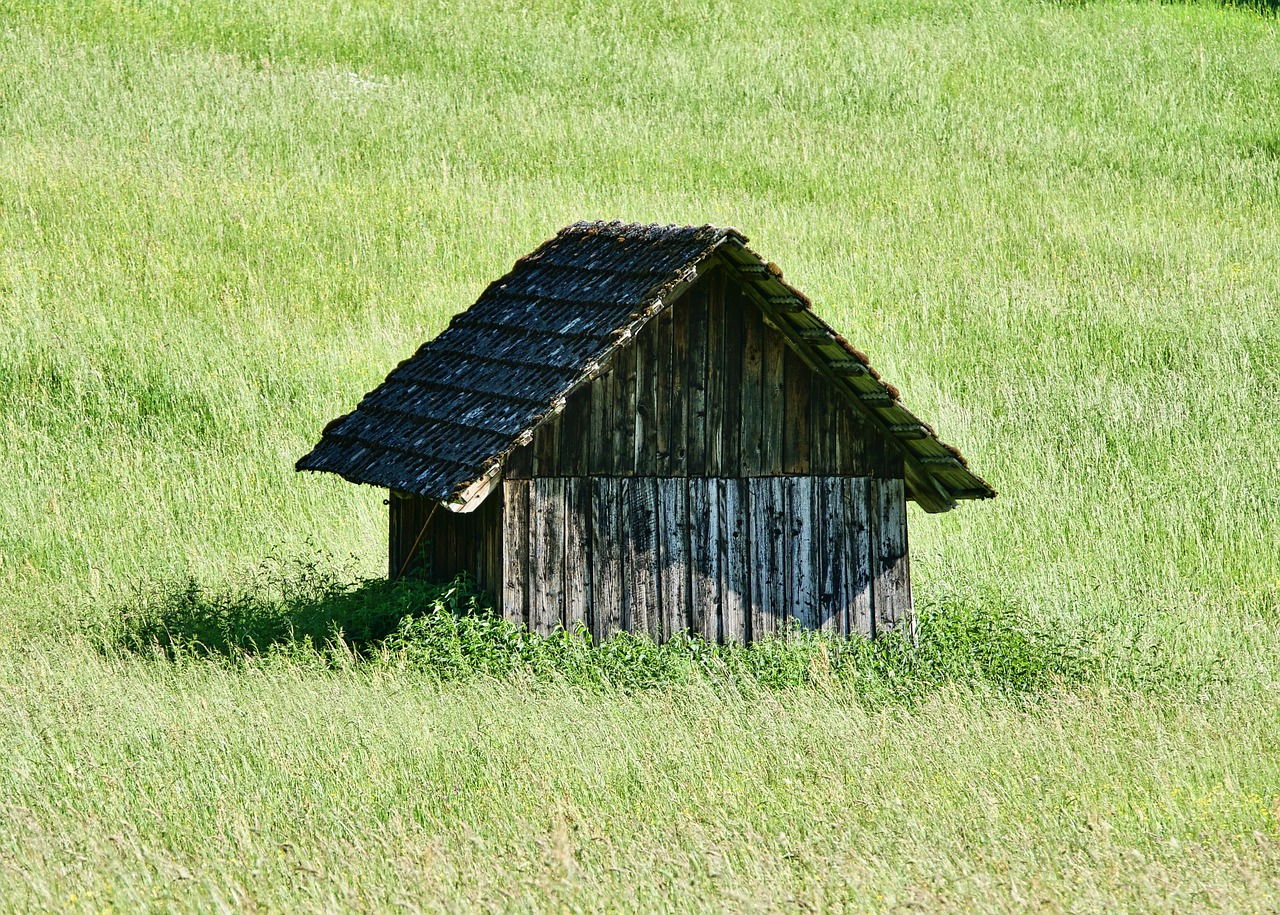 Síndrome de la Cabaña el miedo a salir de casa María Jesús Psicóloga
